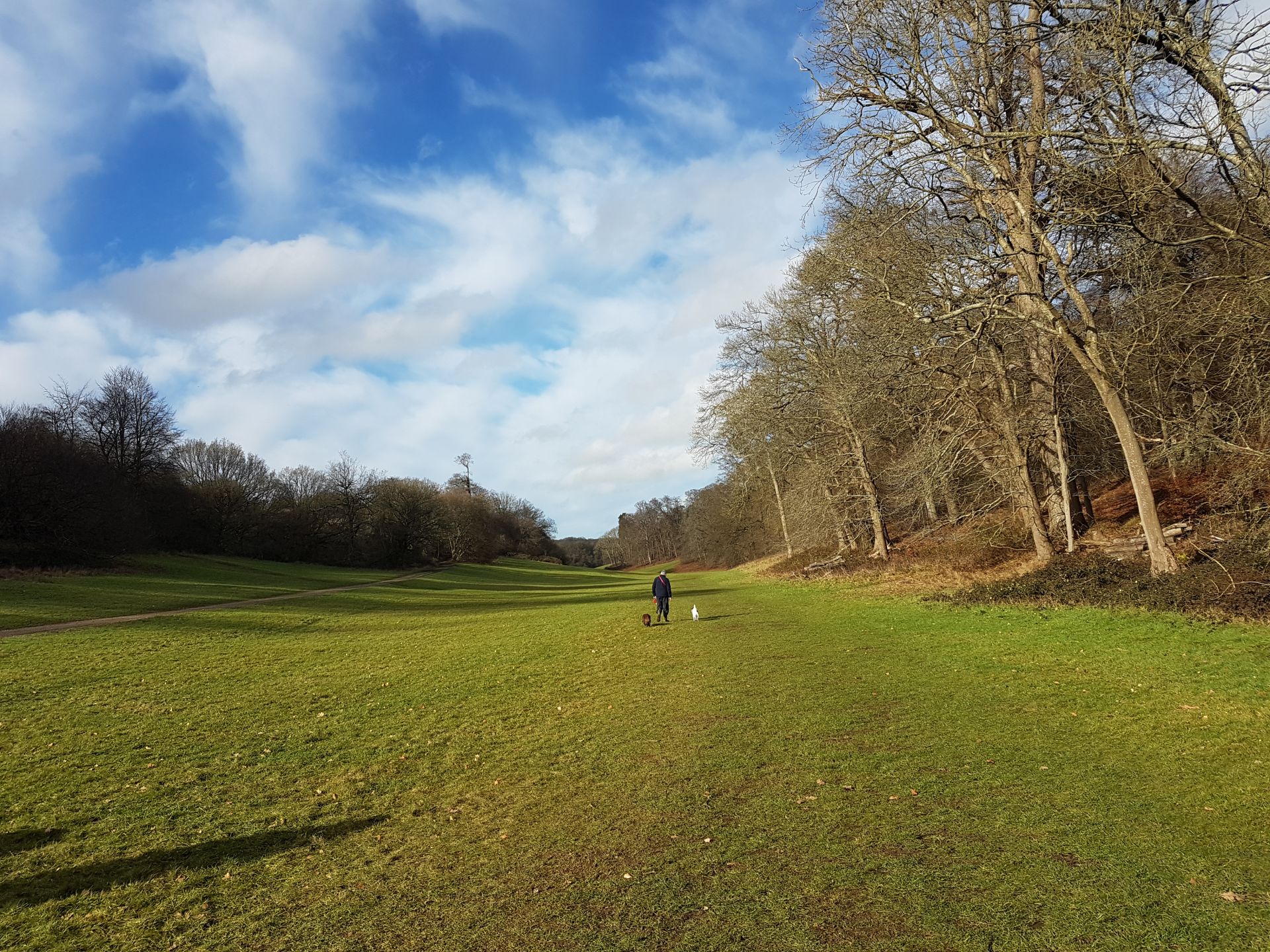 Picture of the Golden Valley